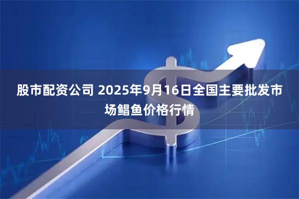 股市配资公司 2025年9月16日全国主要批发市场鲳鱼价格行情