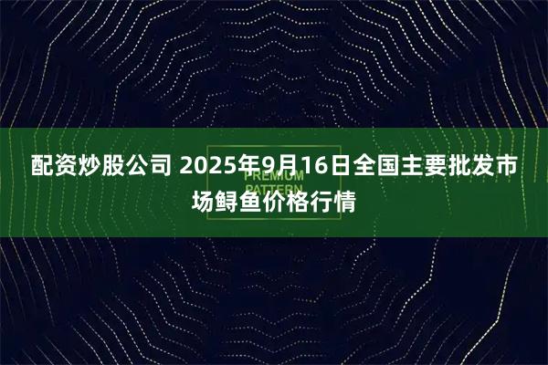 配资炒股公司 2025年9月16日全国主要批发市场鲟鱼价格行情