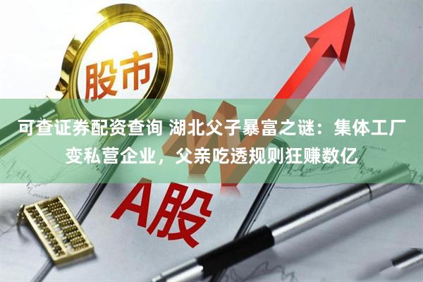 可查证券配资查询 湖北父子暴富之谜：集体工厂变私营企业，父亲吃透规则狂赚数亿