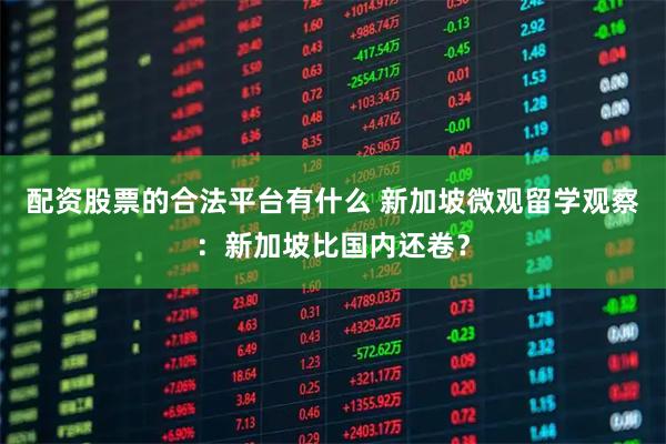 配资股票的合法平台有什么 新加坡微观留学观察：新加坡比国内还卷？