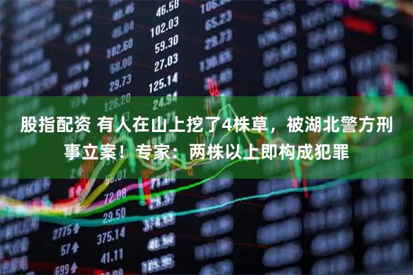 股指配资 有人在山上挖了4株草，被湖北警方刑事立案！专家：两株以上即构成犯罪
